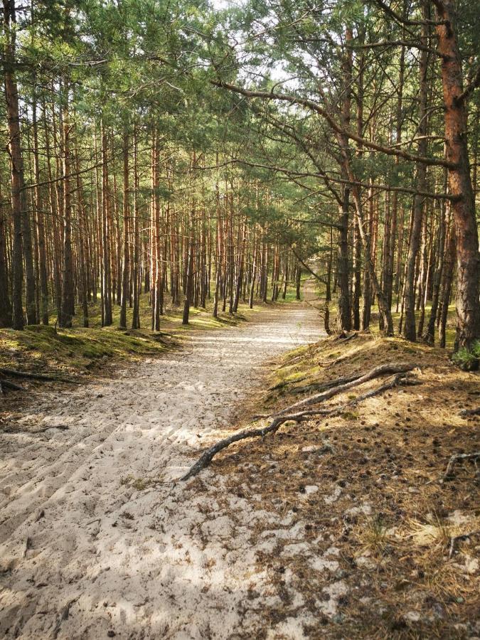 Karuba Resort, Sobieszewo- Gdansk - Wyspa Sobieszewska Екстер'єр фото